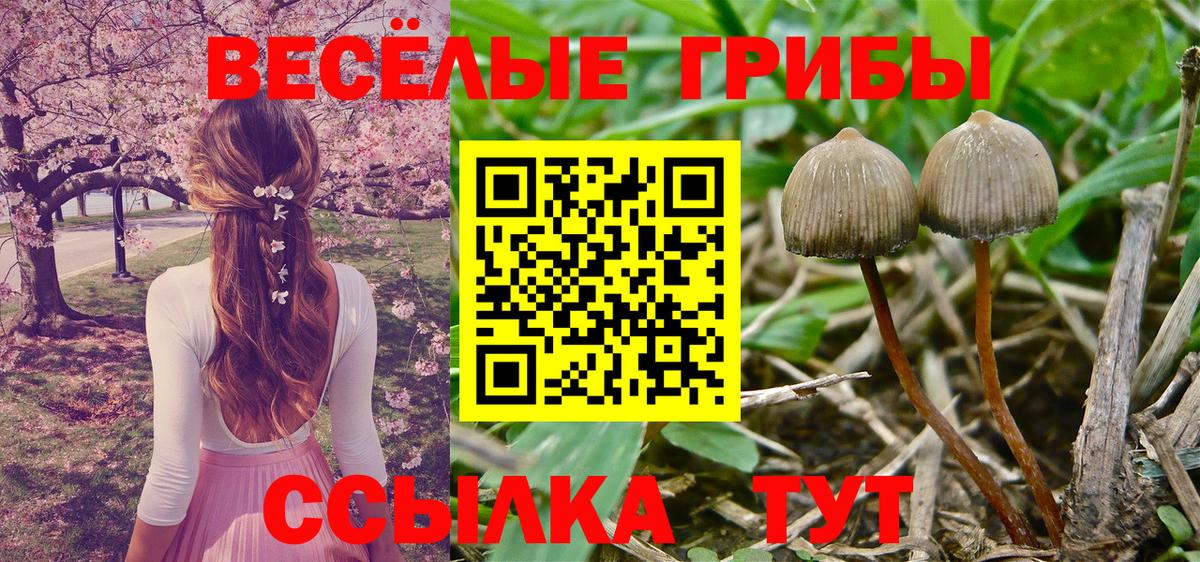 Галлюциногенные грибы мухоморы Междуреченск